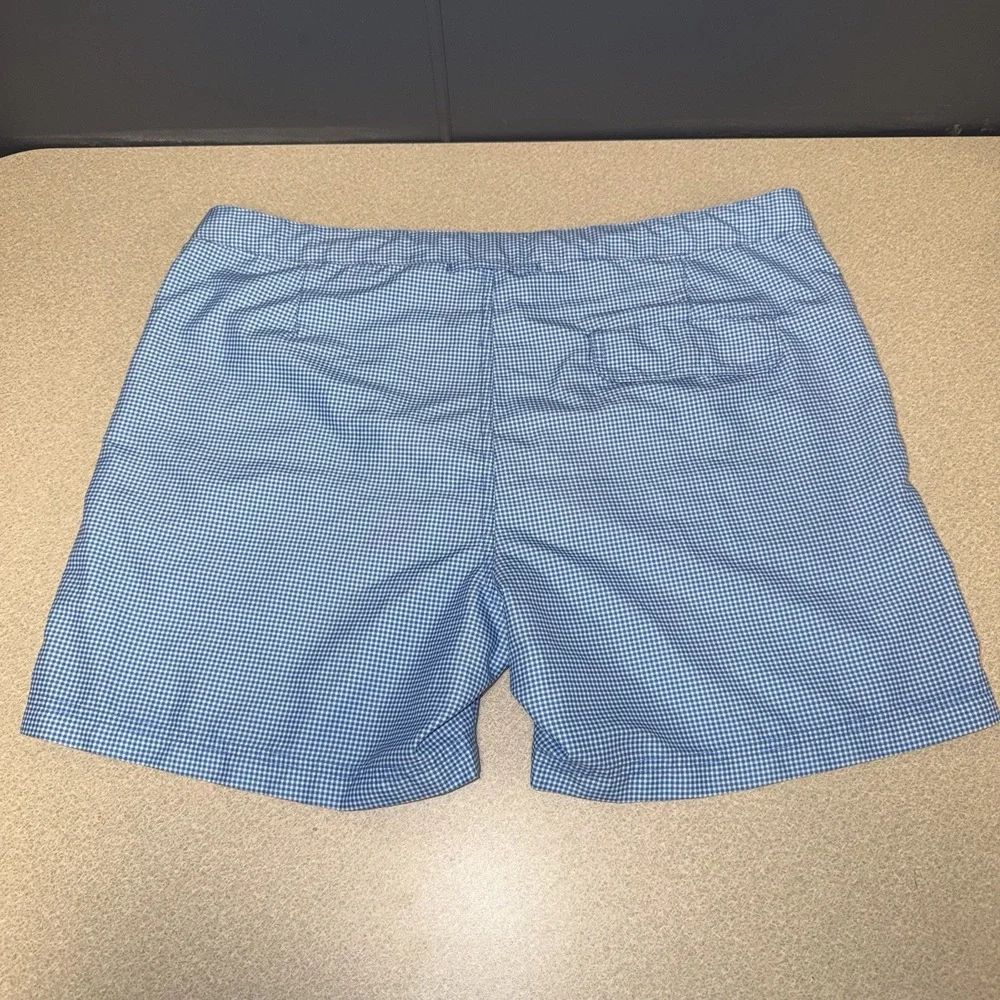 Ibiza Ocean Club Mens Size 36 Mesh Lined Swim Trunks Checked Blue White 6